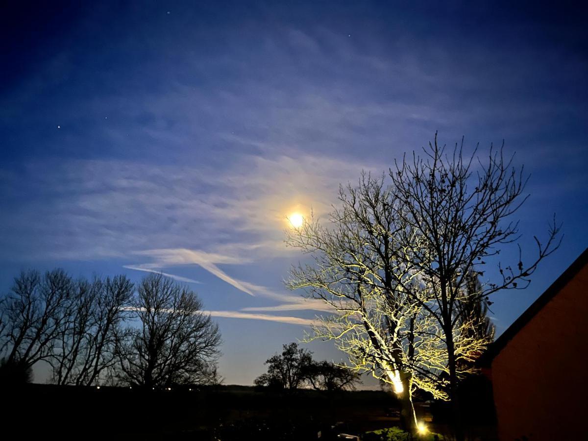 Ferienwohnungen Dargatz Lussvitz Exteriér fotografie